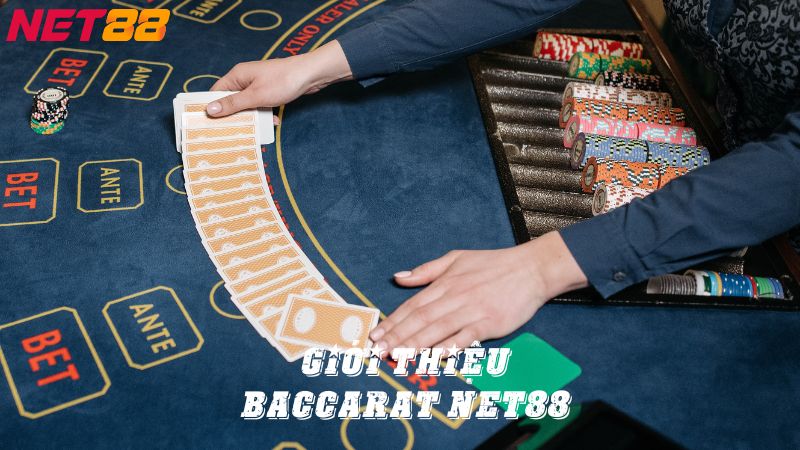 Giới thiệu về dạng bài Baccarat Net88